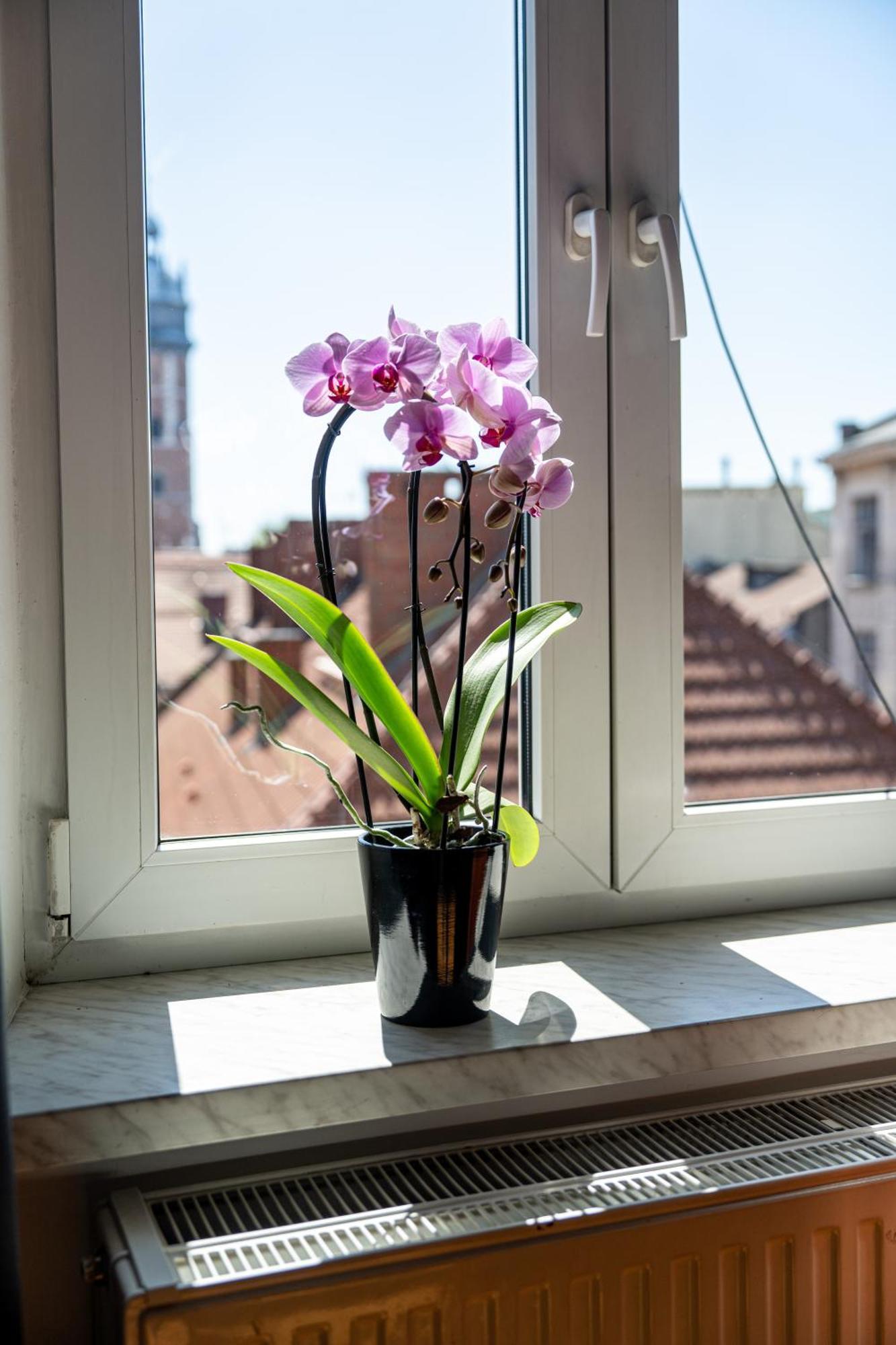 Vista View Apartment Cracovie Extérieur photo